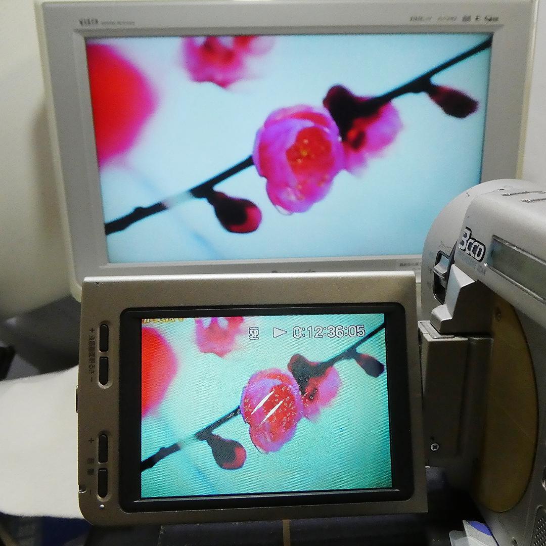 ソニーDCR-TRV900動作良好 MiniDVビデオカメラDVDダビングに最適