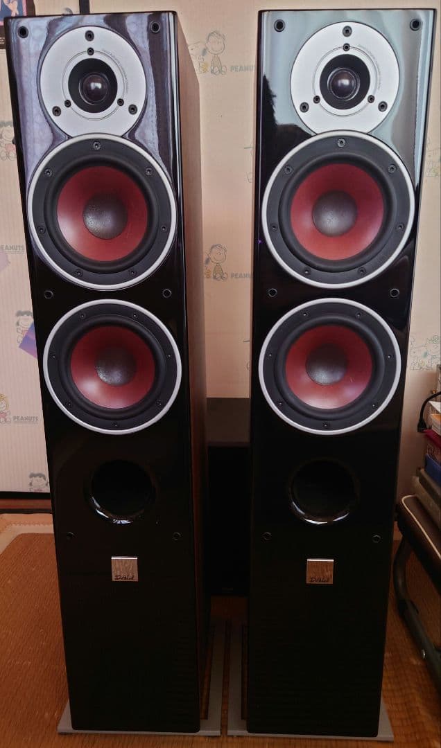 DALI ZENSOR 5 フロアスタンディングスピーカー