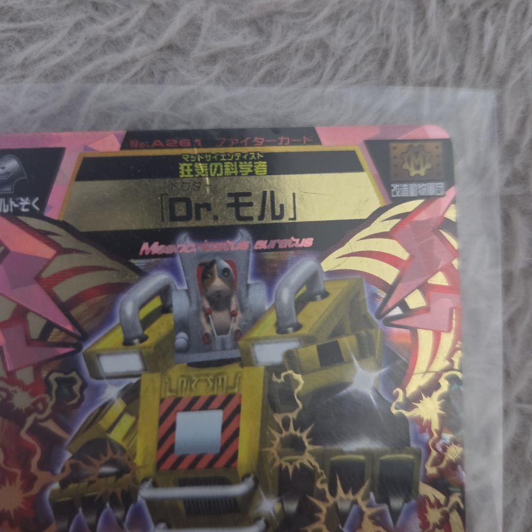Dr.モル