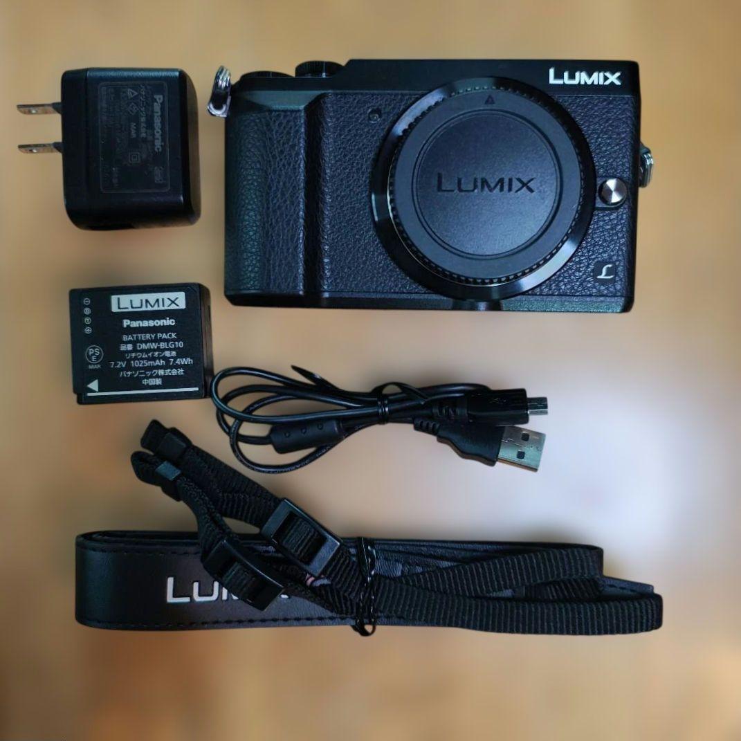 Panasonic LUMIX DMC-GX7MK2 ボディ ブラック 付属品