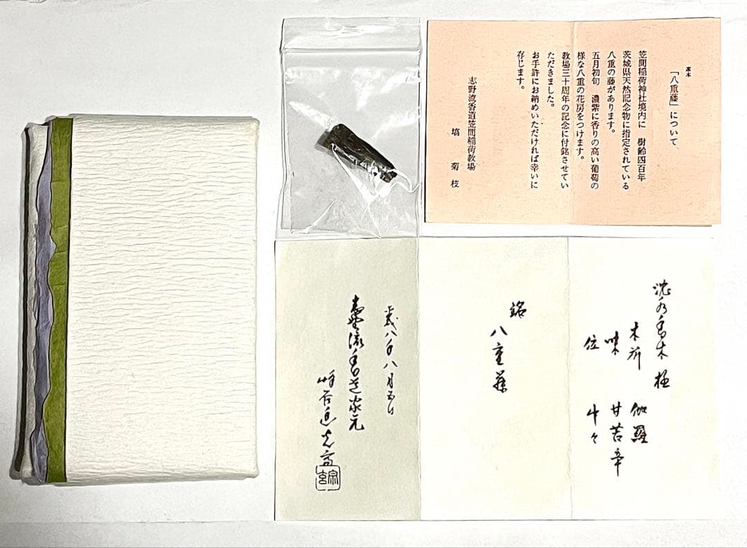 ●志野流●蜂谷宗玄銘●伽羅●八重藤●0.27g●小分け●香木●香道●聞香