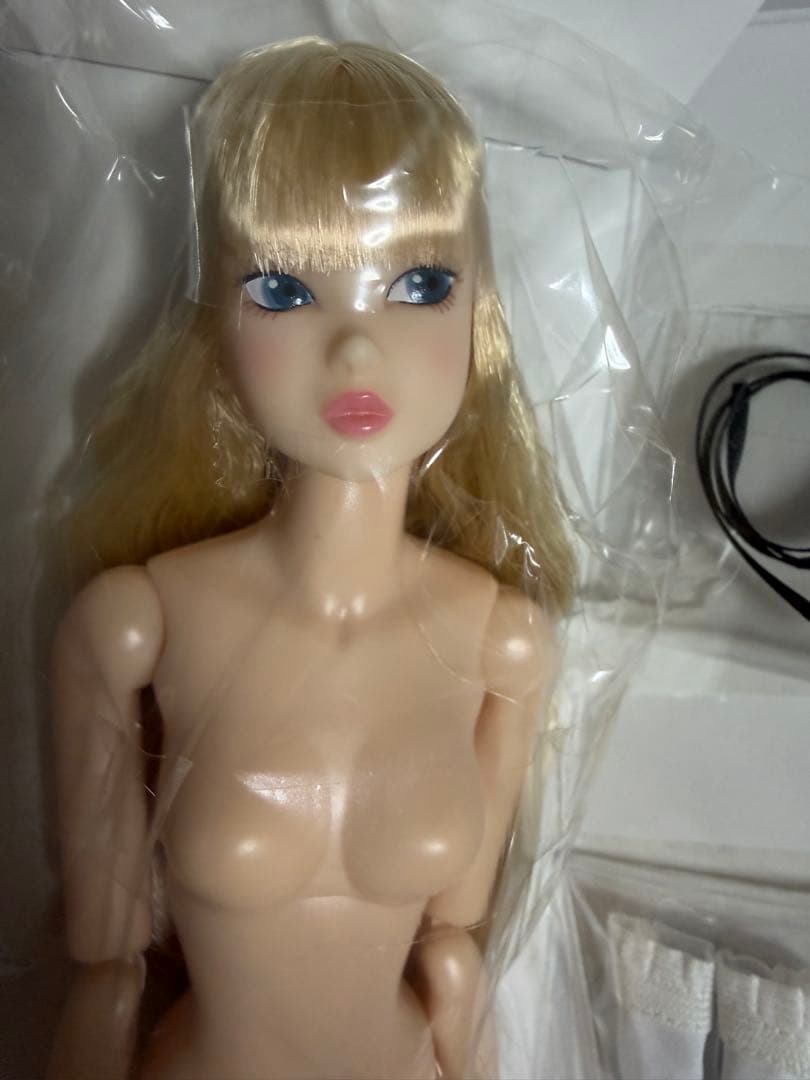 PetWORKS ペットワークス「CCS 26VDAY momoko」新品同様