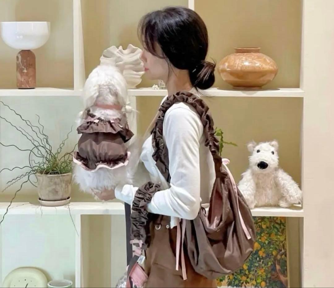 『匿名発送』COZYROSYDAY bag cocoa bustier セット