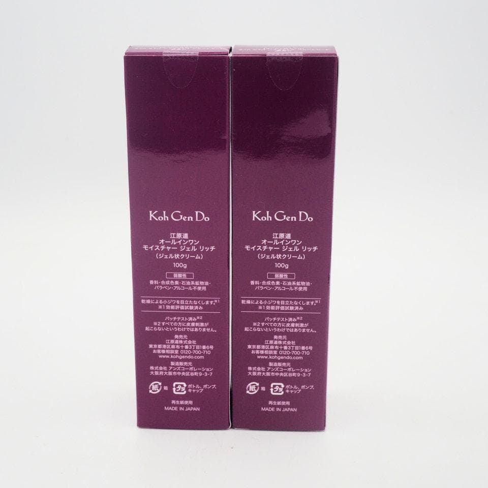江原道 オールインワン モイスチャー ジェル リッチ 100g 2本