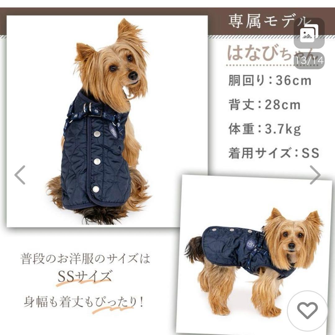 Pet Paradise ペットパラダイス 犬 洋服