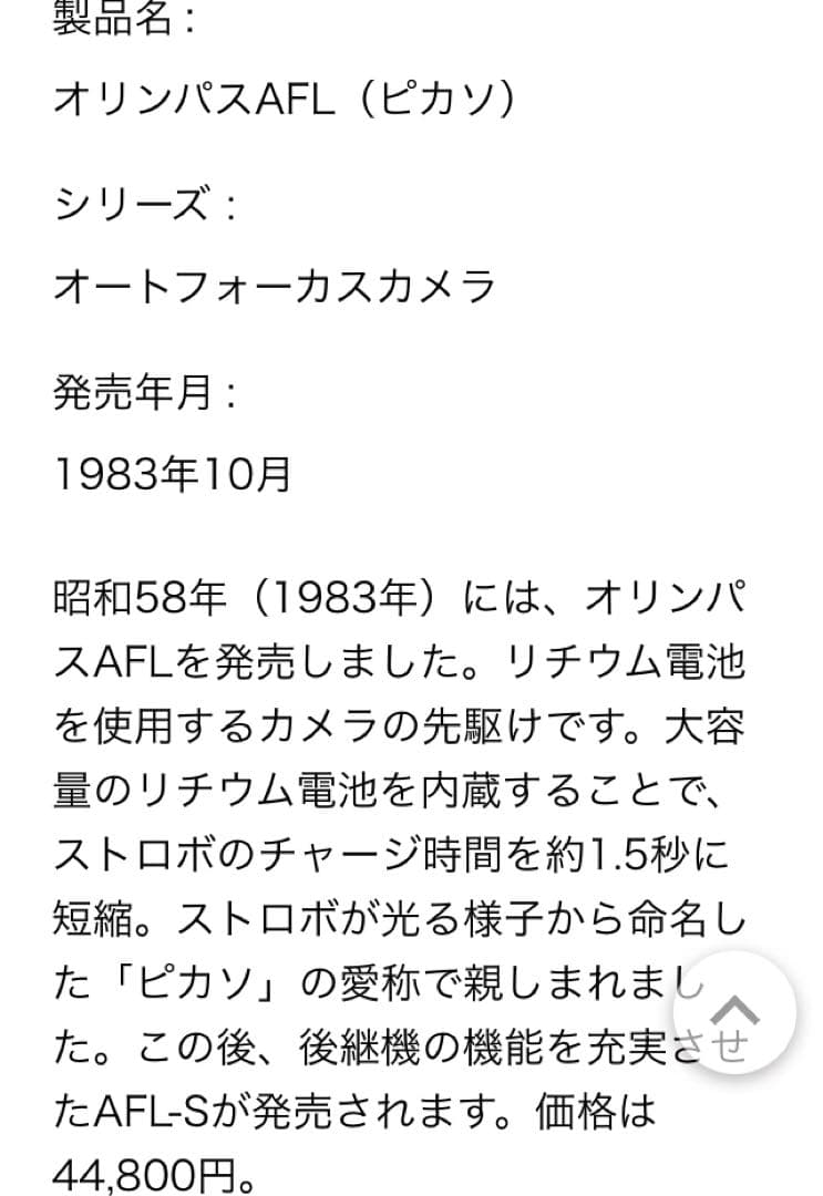OLYMPUS AFL-S(ピカソ)カメラ　ケース付き