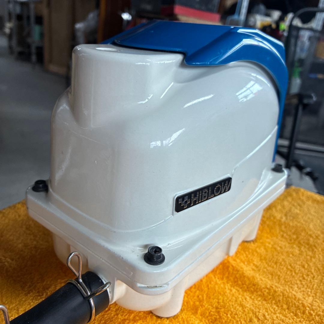 HIBLOW 浄化槽　飼育　メダカ　ブロー