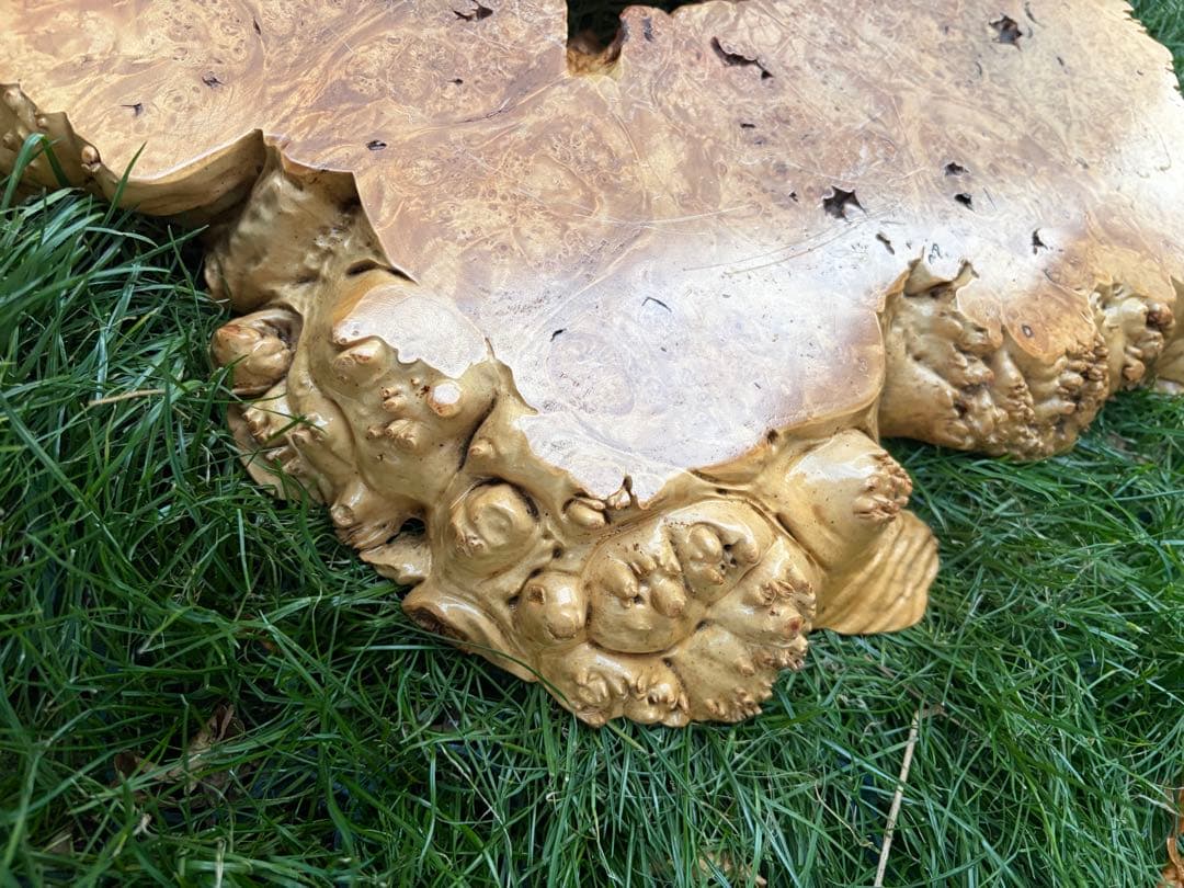 天然木 一枚板 瘤 瘤杢 花台 盆栽台 飾り台 自然木台座50cm × 40cm