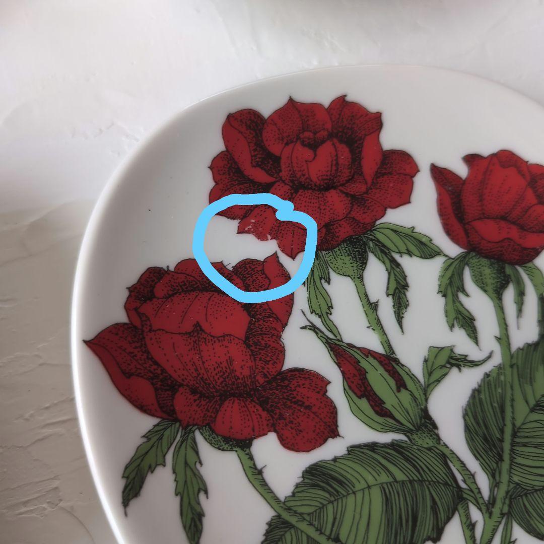 ARABIA アラビア ボタニカ 野ばら　rosa polyantha