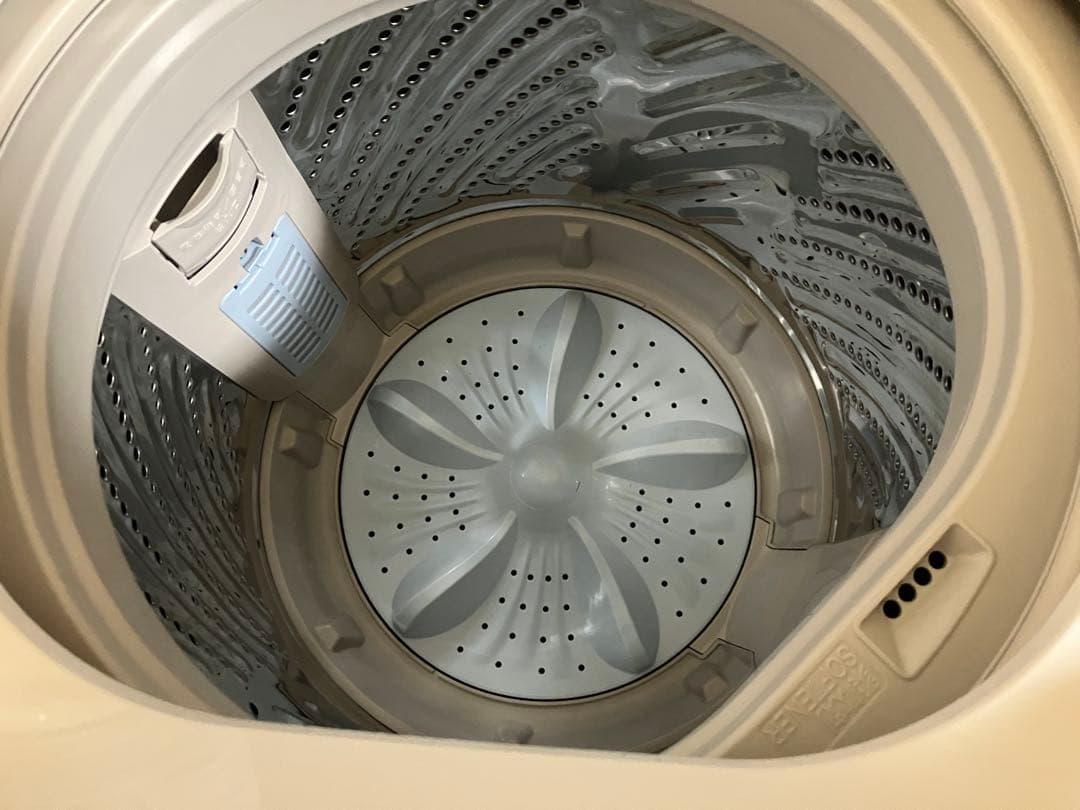Hisense 5.5kg 全自動洗濯機 HW-T55H 2025年製 美品