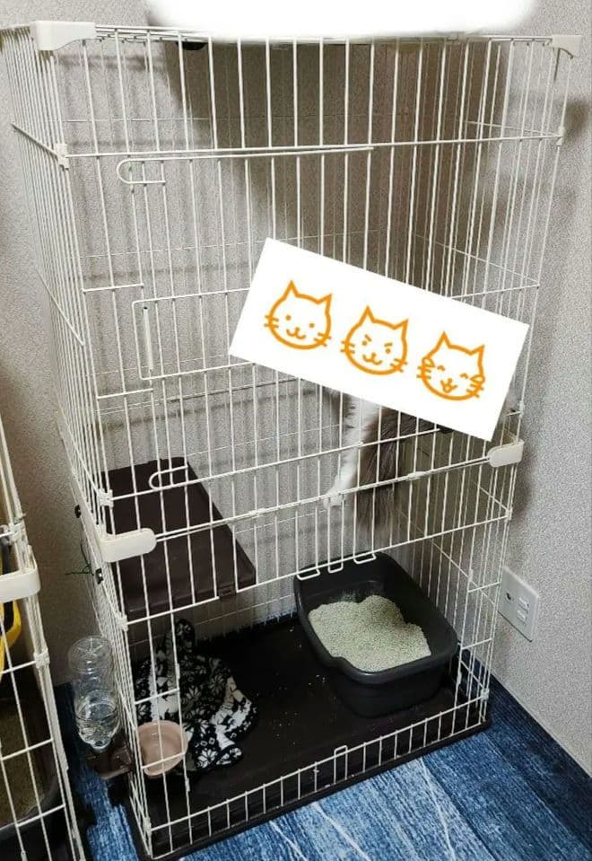 キャットフレンドルーム　ニャンタクラブ CT322 キャットケージ　猫　　ゲージ