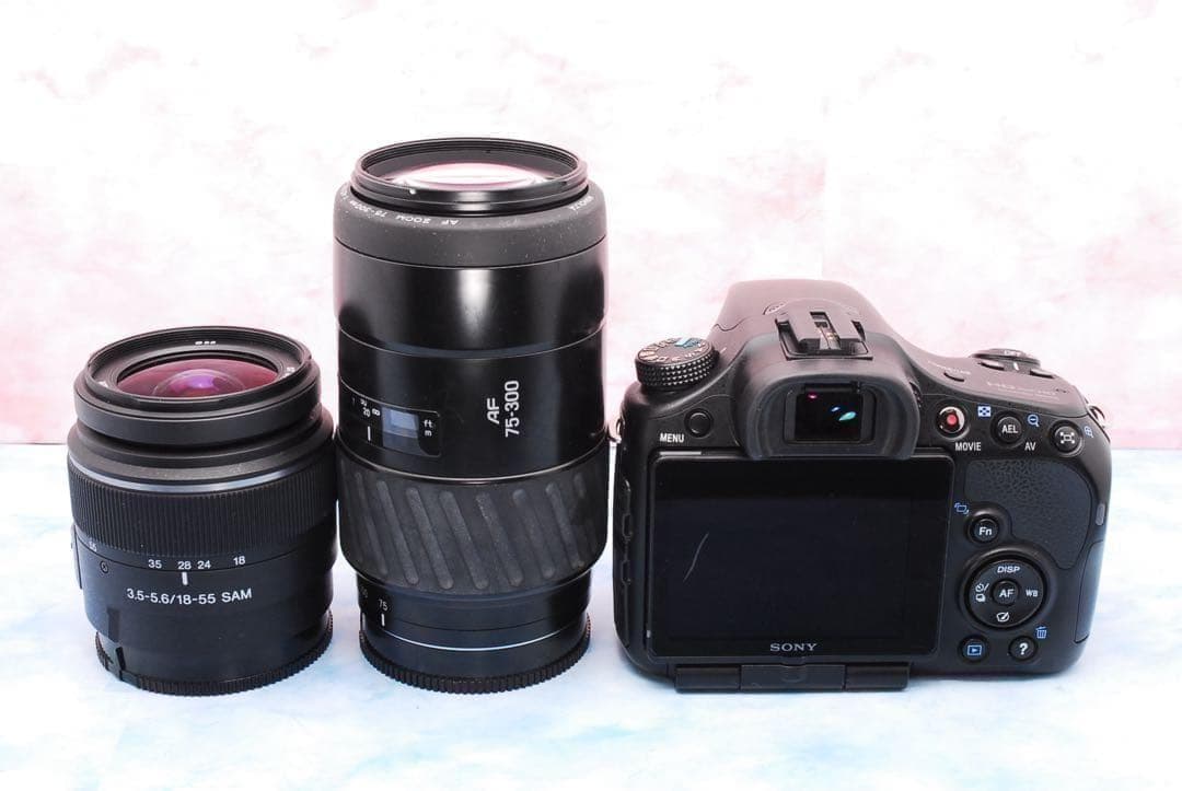 ショット数少✨SONY α65✨Wレンズ✨一眼レフカメラ✨高速連写＆高画質