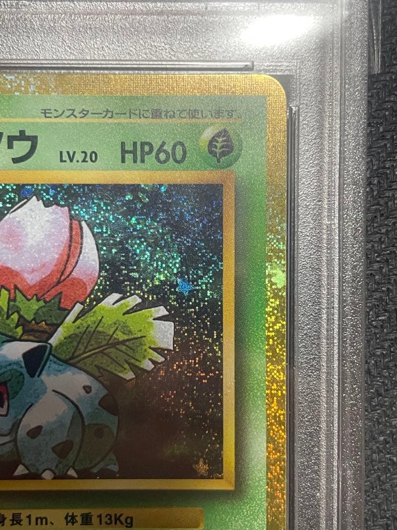 フシギダネ フシギソウ フシギバナ CLASSIC 連番 ポケカ