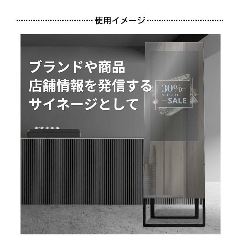 Fitness mirroR フィットネスミラー TE-630