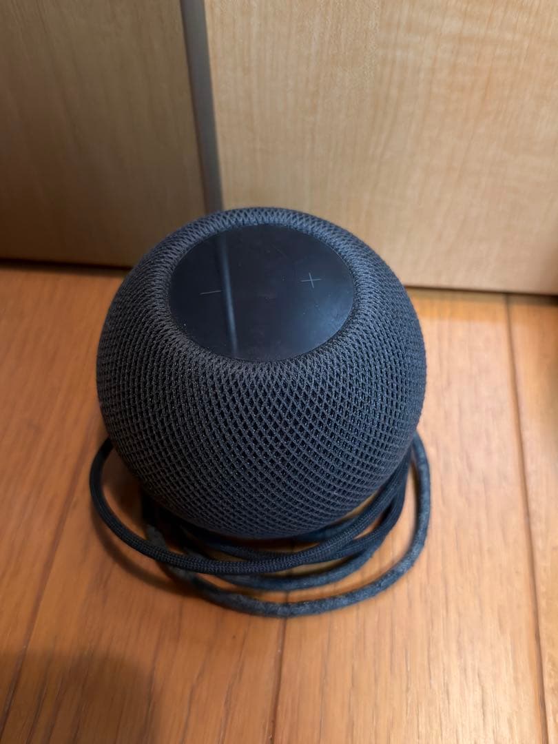 Apple Pod & Pod mini セット
