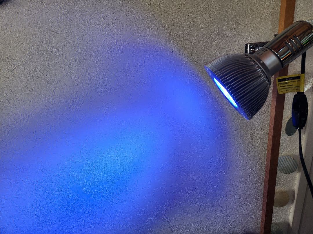 Glossy LED RS12c Coral 420 スポットライト