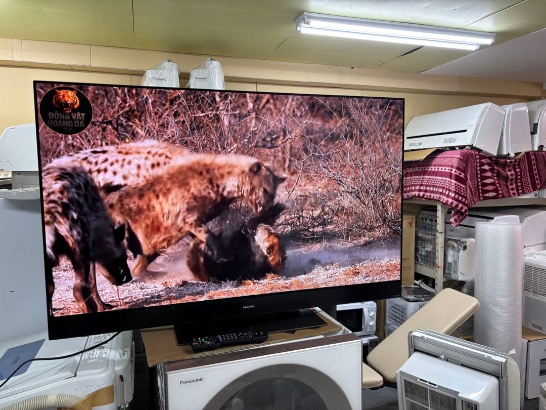 Panasonic TH-55GZ2000 55型 有機ELテレビ フラッグシッ