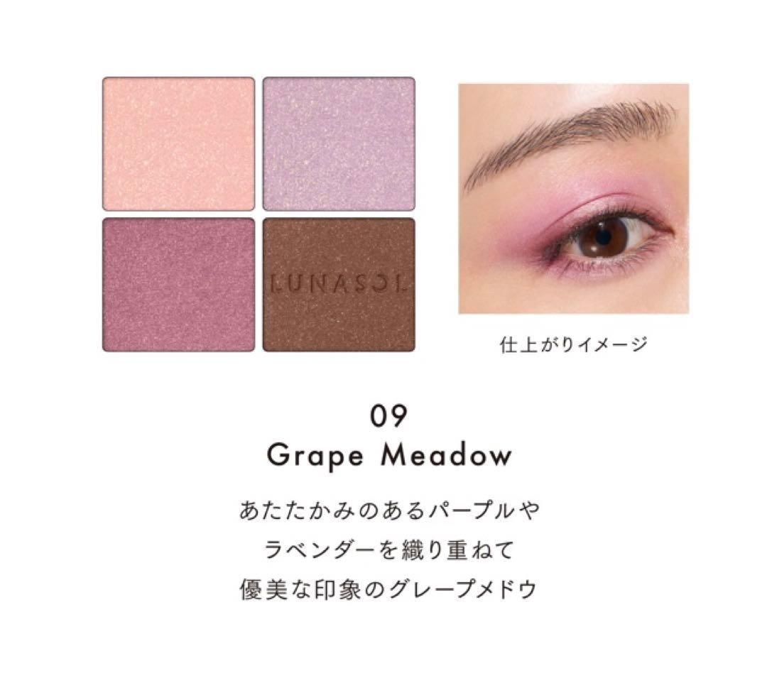 LUNASOL アイカラーレーションN 09 グレープメドウ