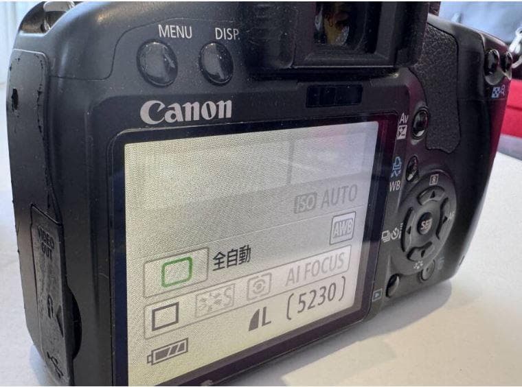 Canon EOS Kiss X2 レンズキット 一眼レフ カメラ