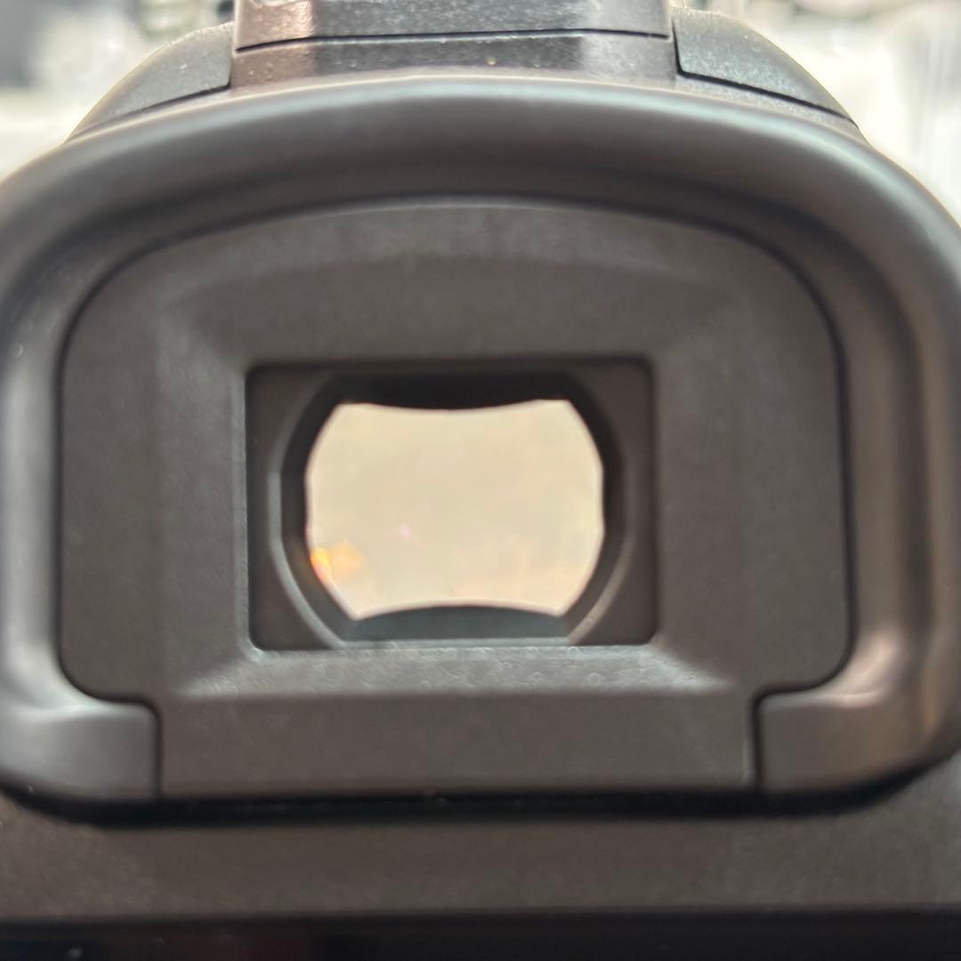 お値下げ【美品】Canon EOS 5D Mark IV 20,591枚