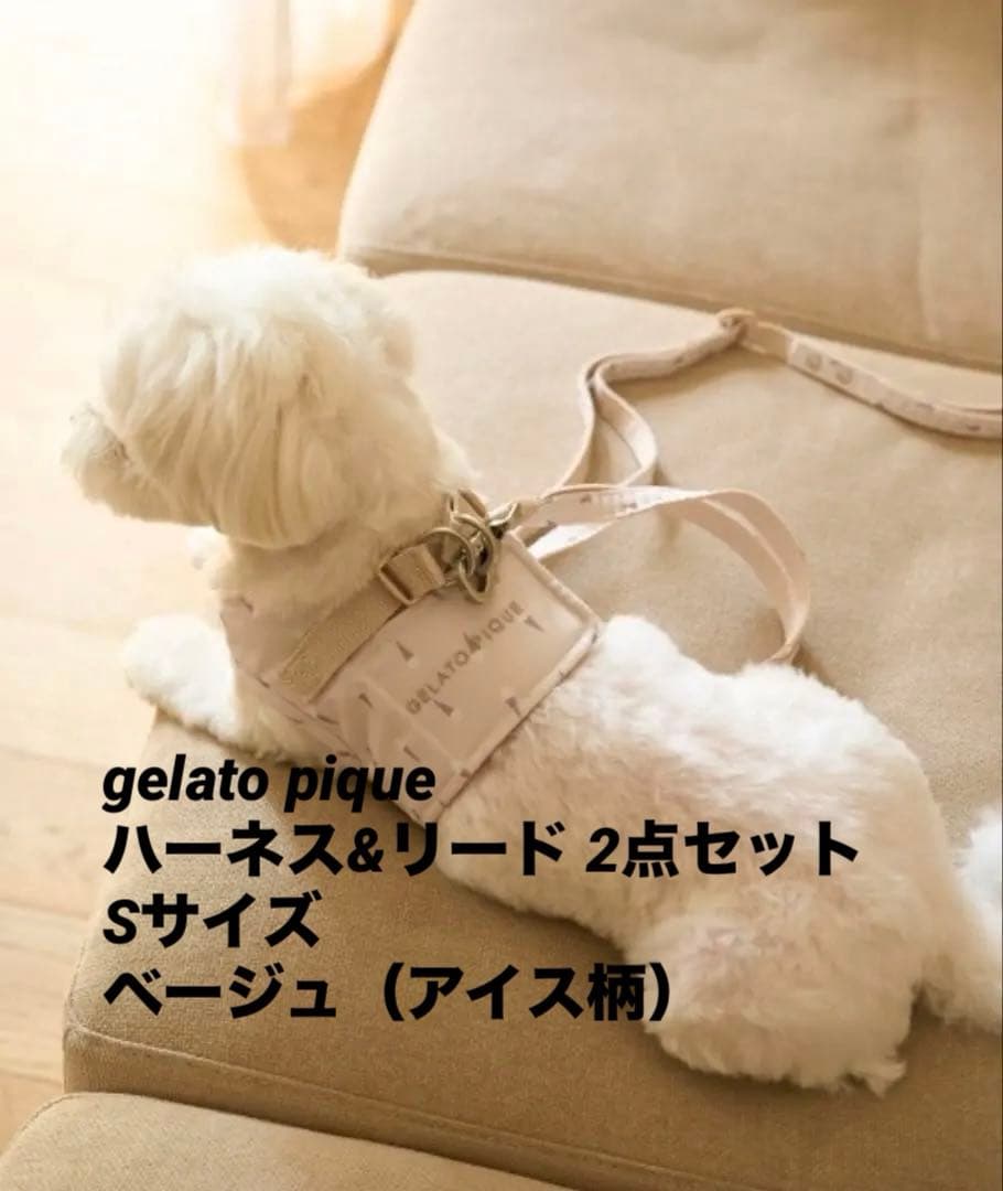 【タグ無試着のみ】gelato pique モチーフ柄ハーネス & リード 2点