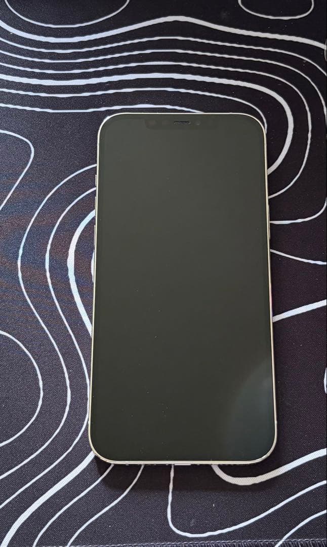 iPhone 12 Pro Max 256GB シルバー SIMフリー ケース付
