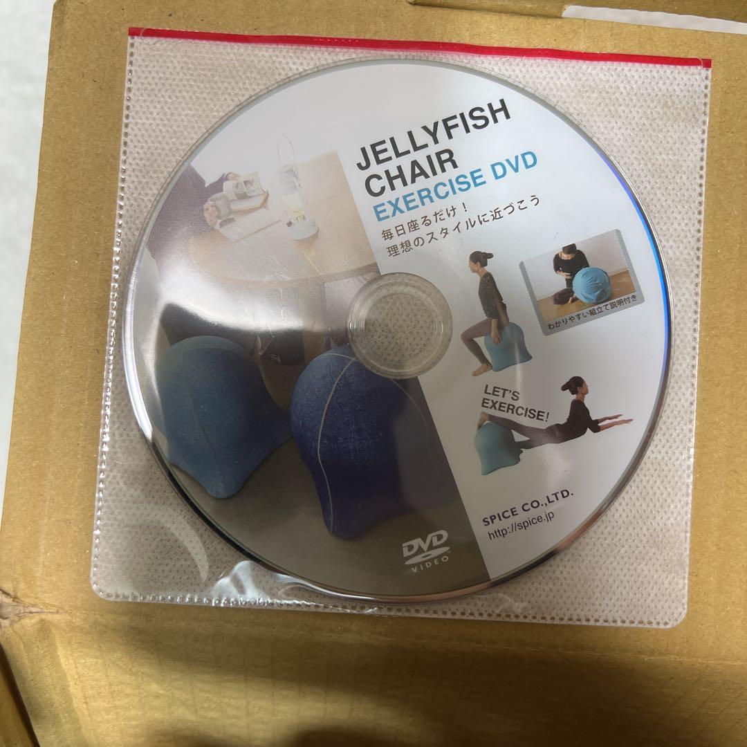 Jellyfish Chair ジェリーフィッシュバランスチェア 新品未使用