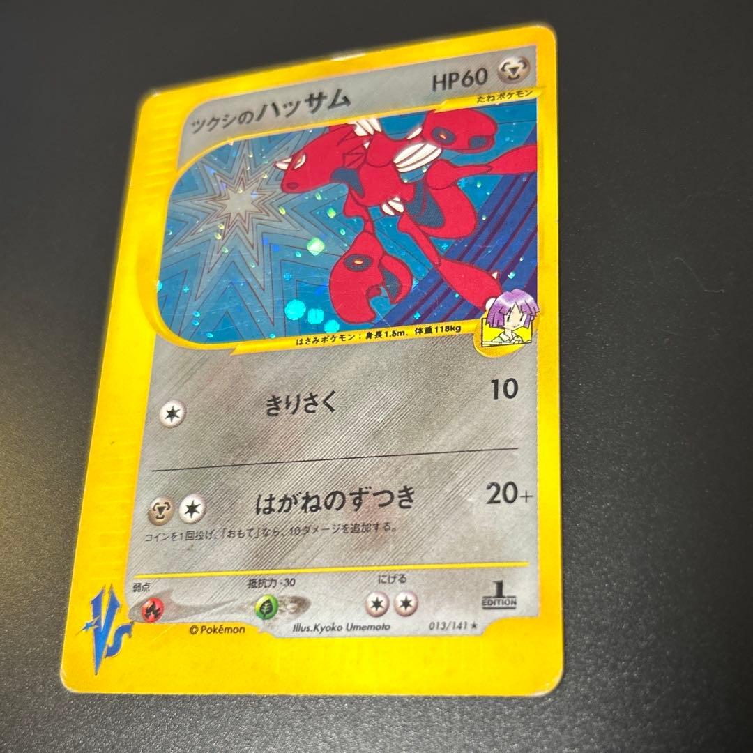 ツクシのハッサム　eシリーズ