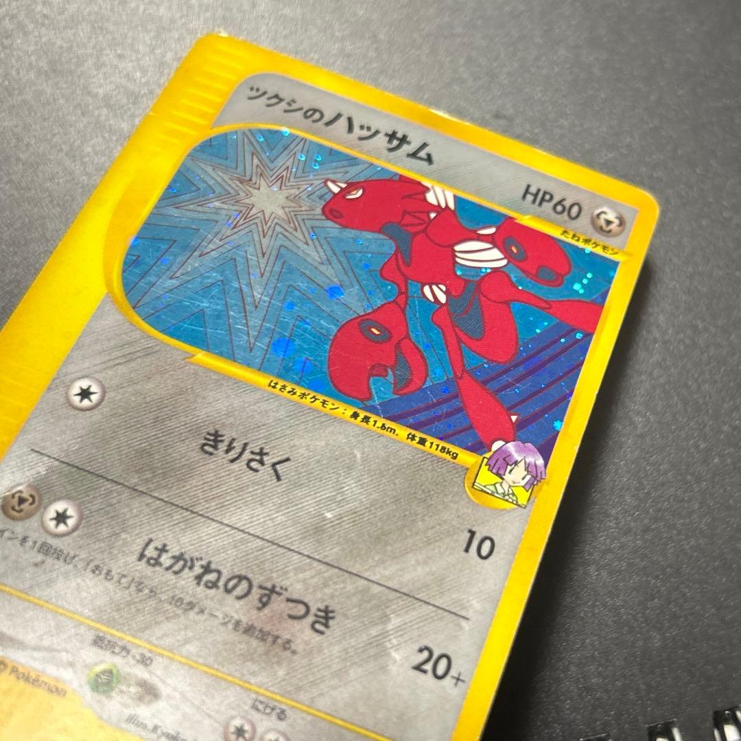 ツクシのハッサム　eシリーズ