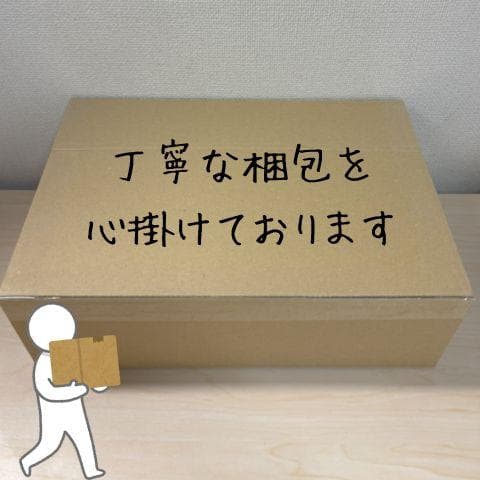 美顔器 EMS 美容器 RF美顔器 自宅エステ 4000mAh大容量バッテリーp
