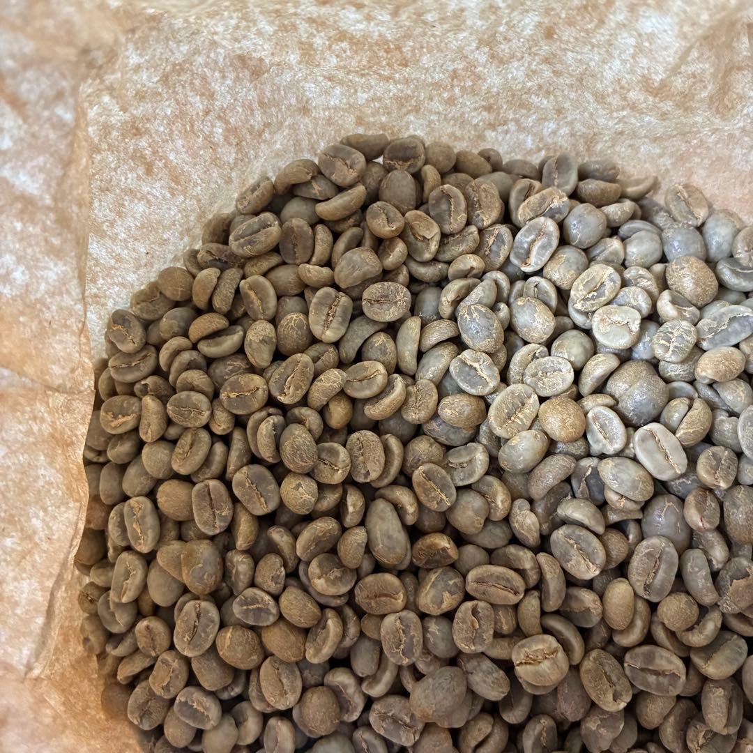 ★ハンドピック済　コーヒー生豆コスタリカ約2. 2キログラム済