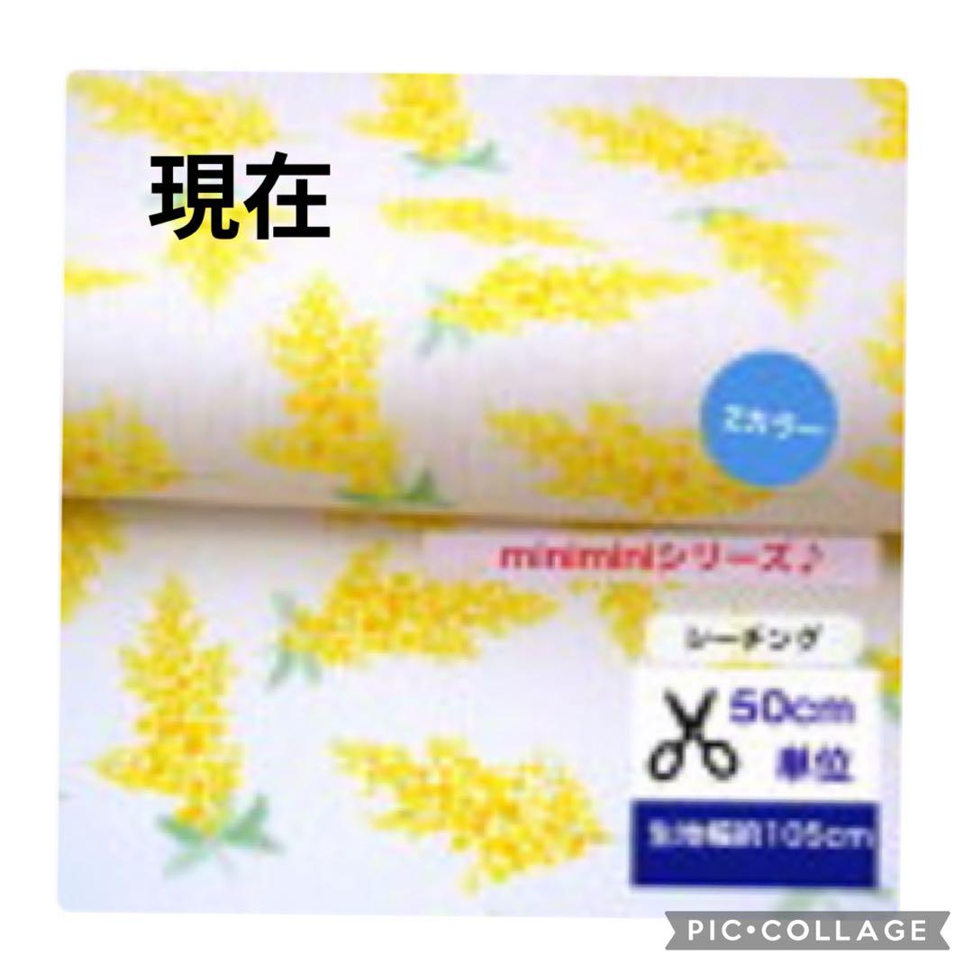 YUKI様 犬服ハンドメイド　オーダー品
