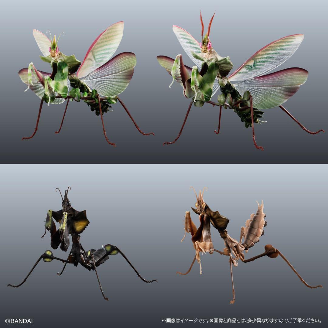 シ*ン様 いきもの大図鑑アドバンス　ニセハナマオウカマキリコンプリート