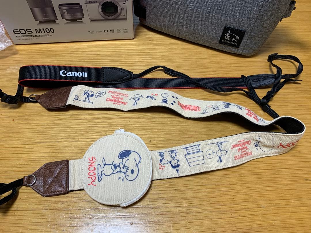Canon EOS M100 ダブルズームキット　グレー　カメラ