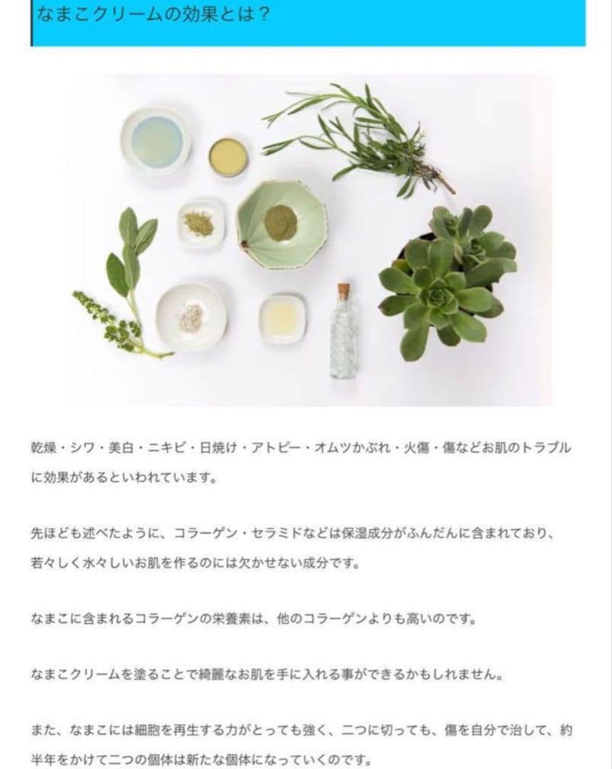 マレーシア産 なまこクリーム 10個 【 SHAARI 】ランカウイ 【15】