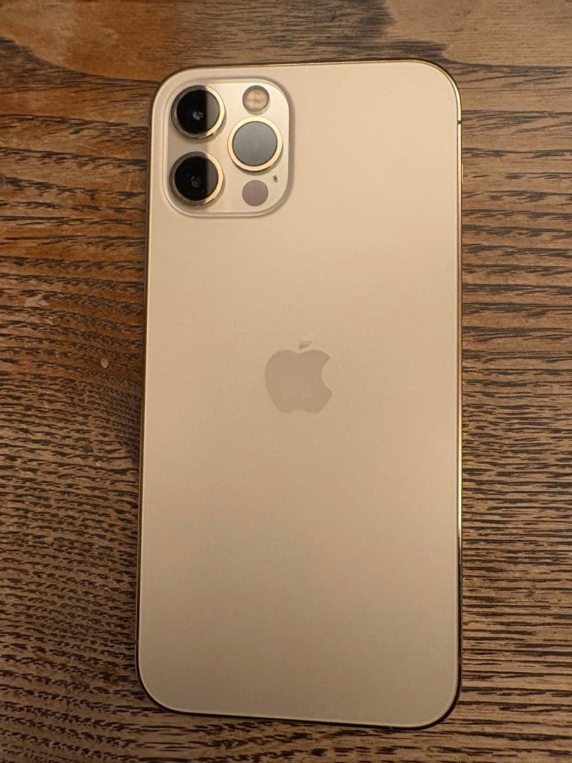 b*g様 【ジャンク】iPhone12pro本体
