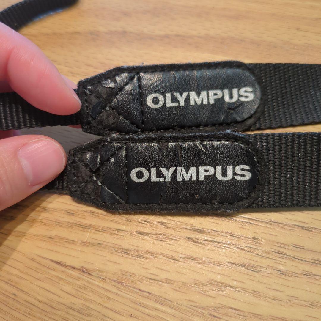OLYMPUSペン mini E-PM2