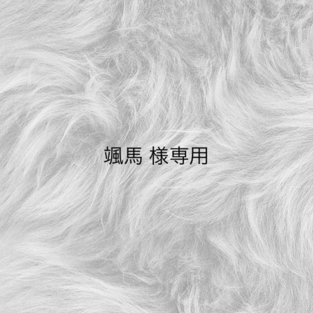 颯馬