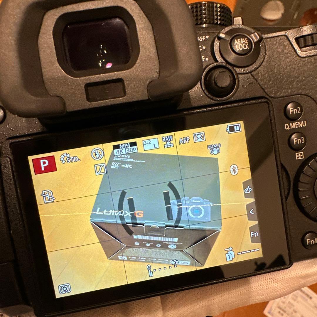 Panasonic GH-5M, H-FS12060 セット