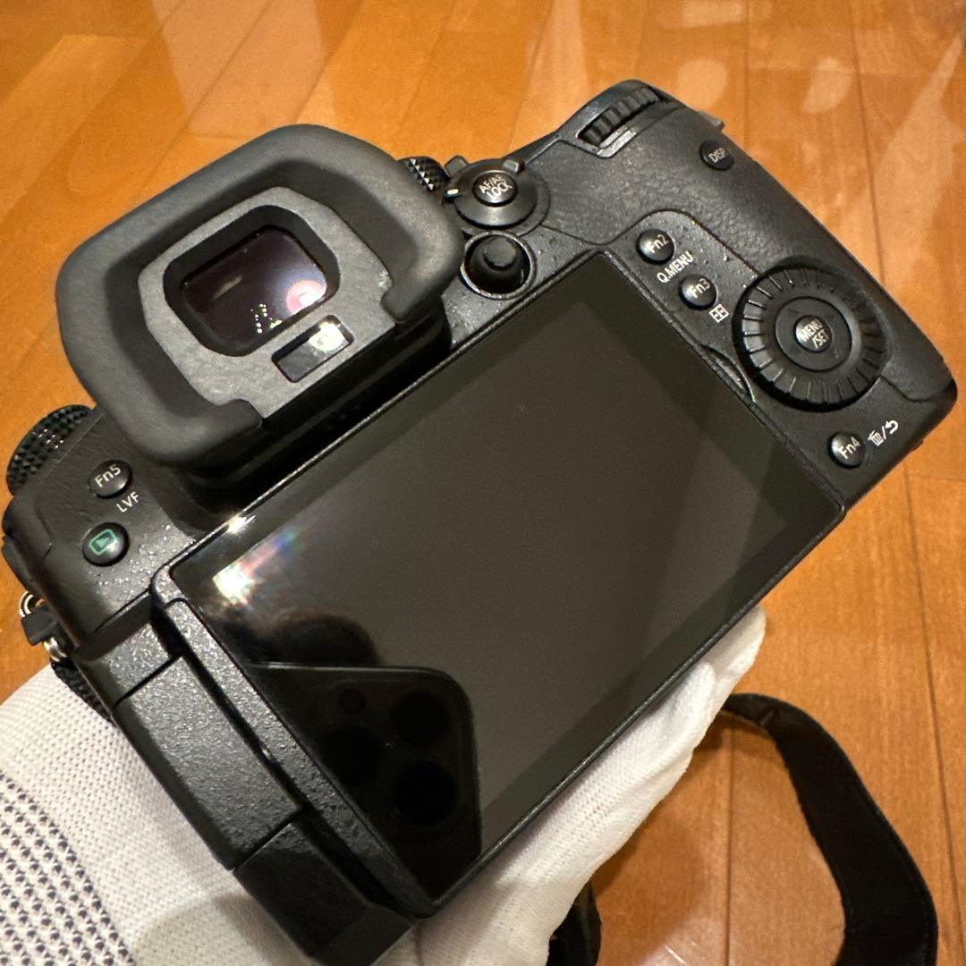 Panasonic GH-5M, H-FS12060 セット