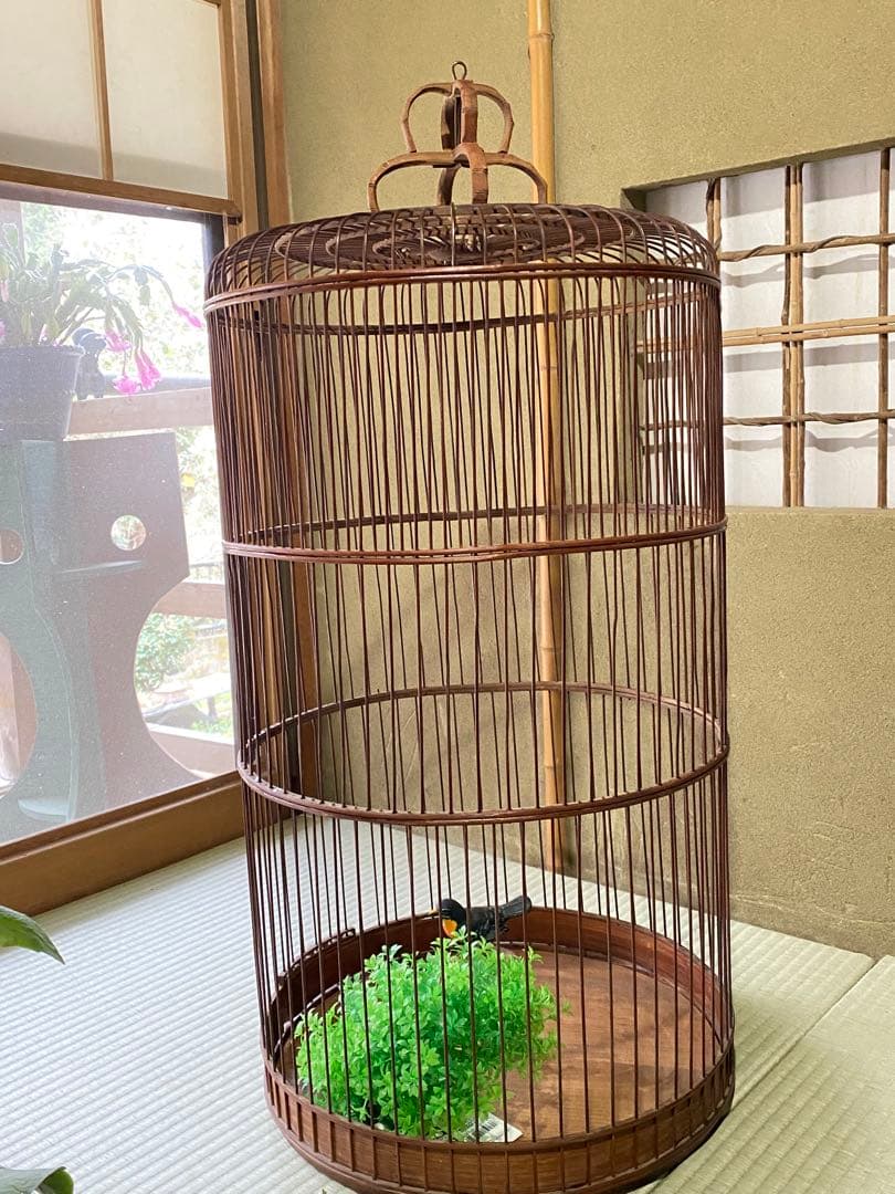 アンテーク雲雀長篭