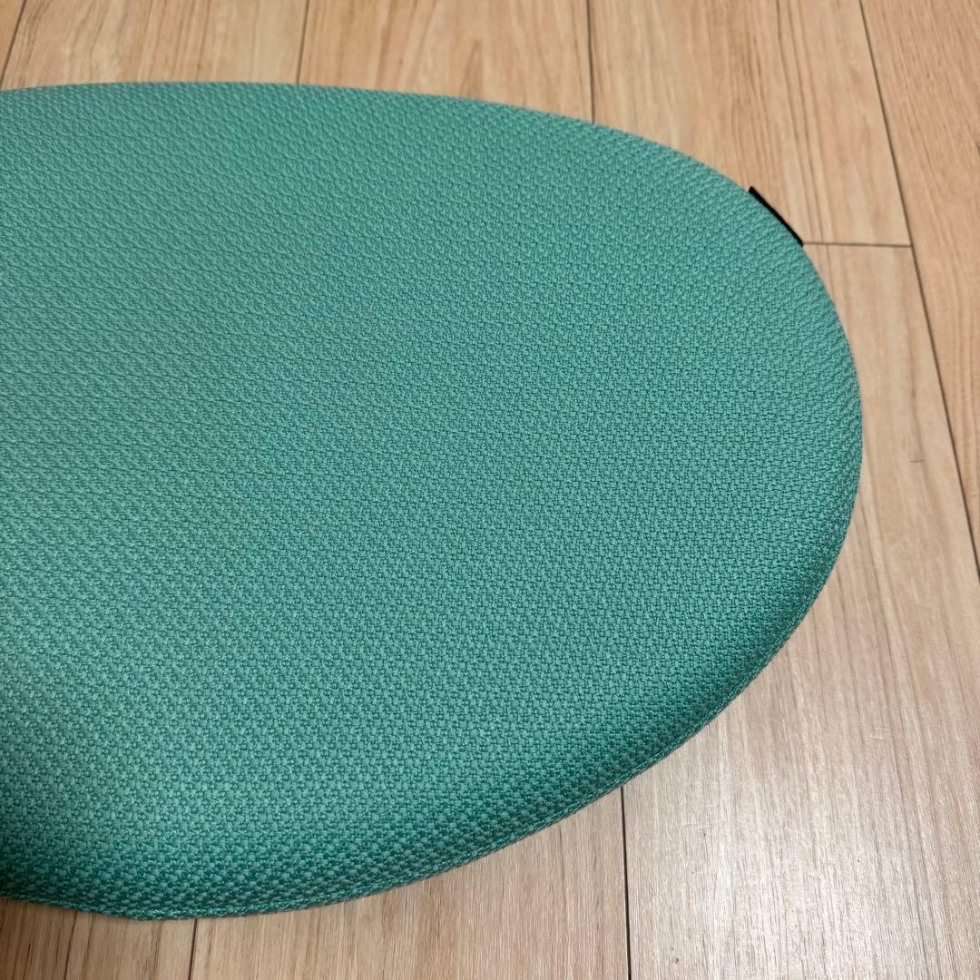 【美品】バランスイージー ライトグリーン カバー付 バランスラボ