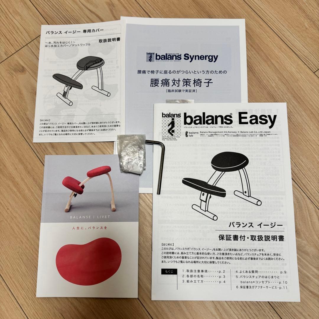 【美品】バランスイージー ライトグリーン カバー付 バランスラボ