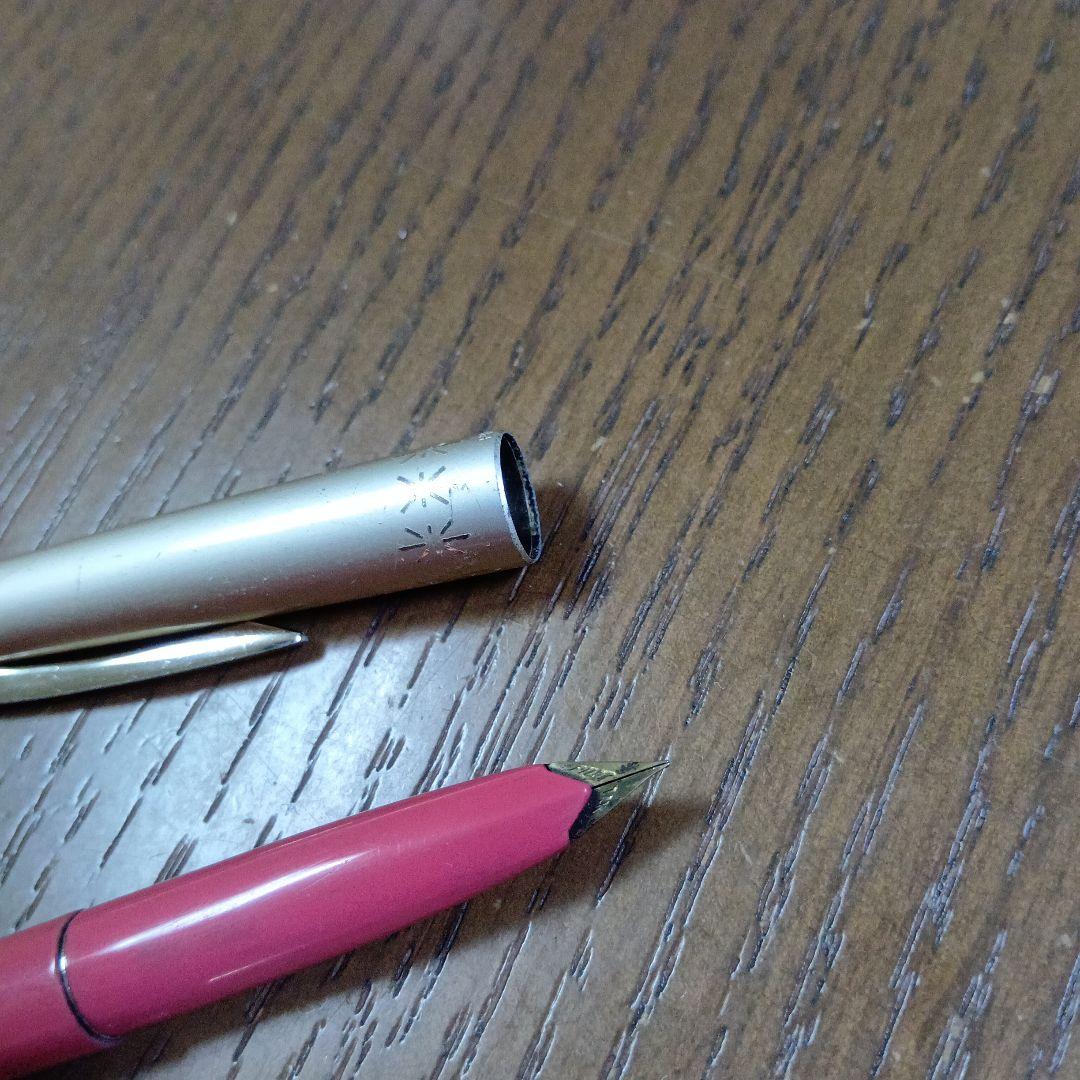 万年筆 2本