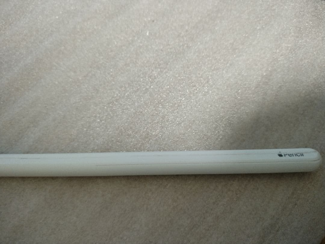 【daisuke】iPadPro12.9インチ第6世代256GB