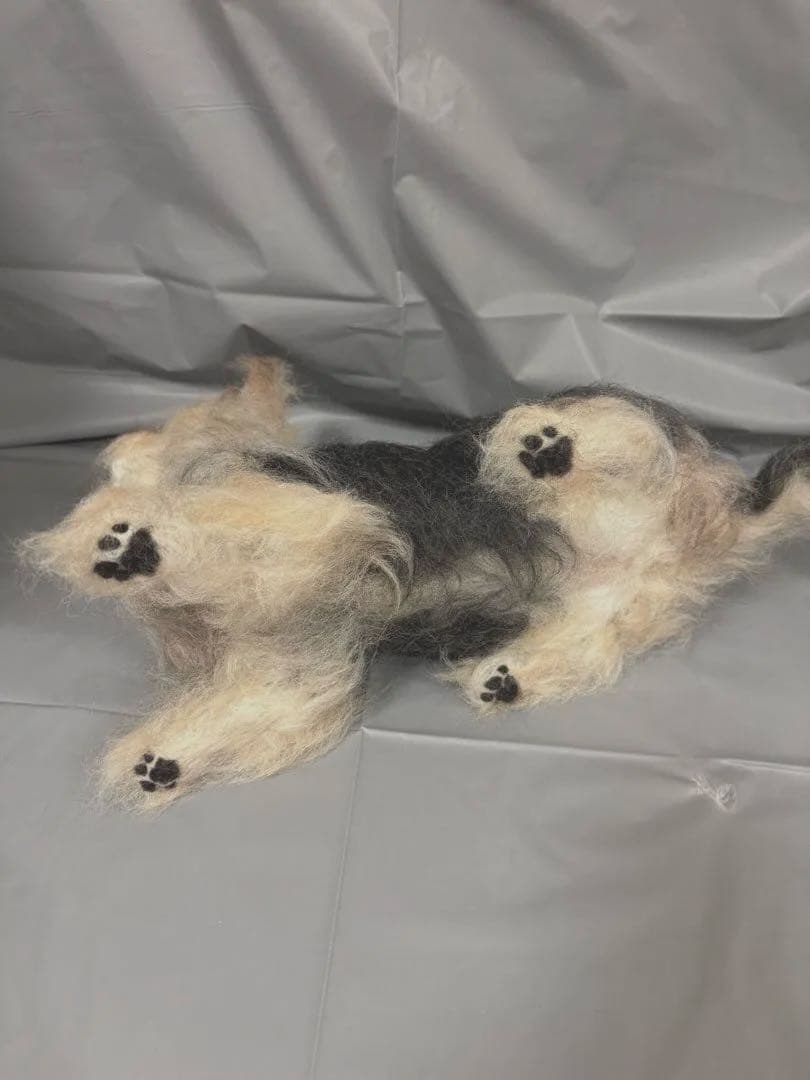 羊毛フェルト　犬　ヨークシャーテリア