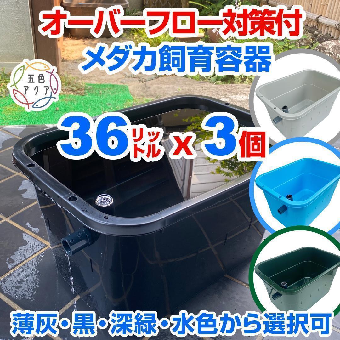 メダカ飼育ケース 36㍑x3個（4色あり）オーバーフロー付 金魚飼育ケース 越冬