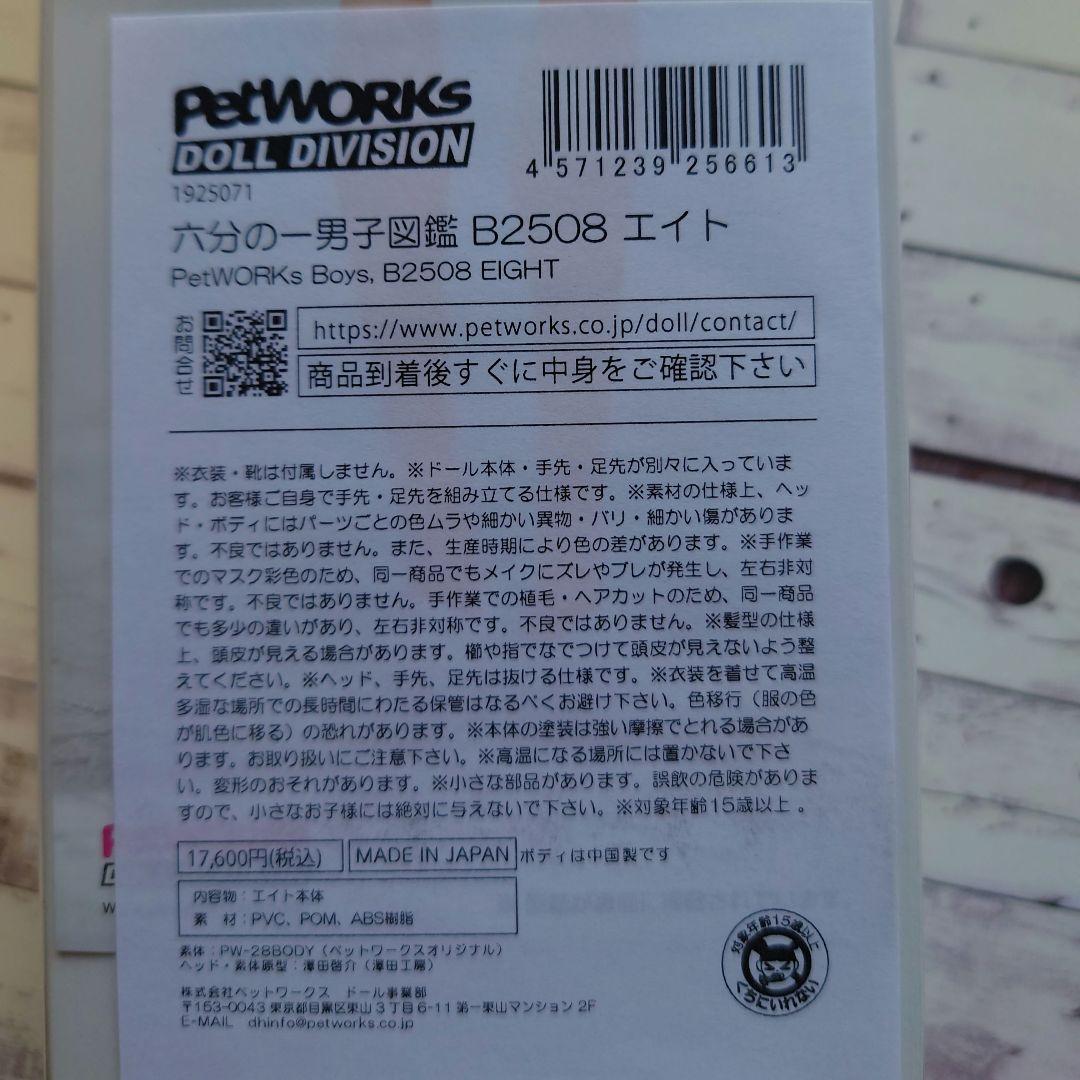 六分の一男子図鑑　エイト