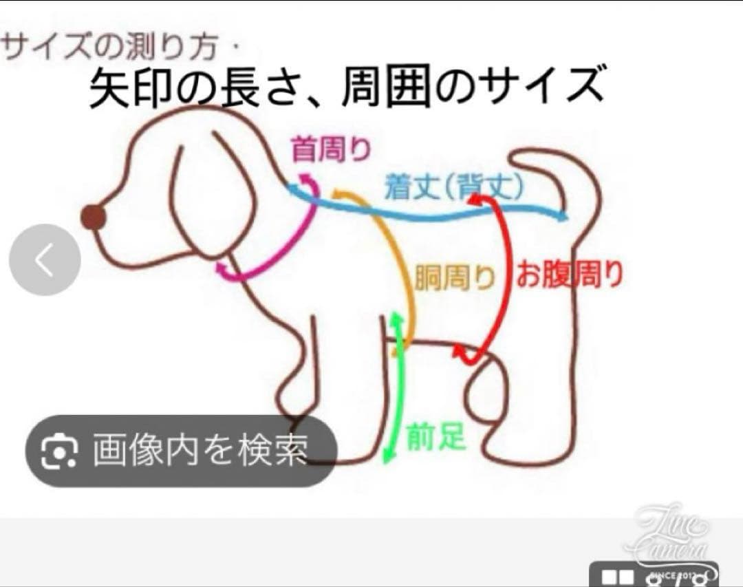 B447.pon2pan2☆犬☆オーダー☆ボルドー色のスモックワンピ