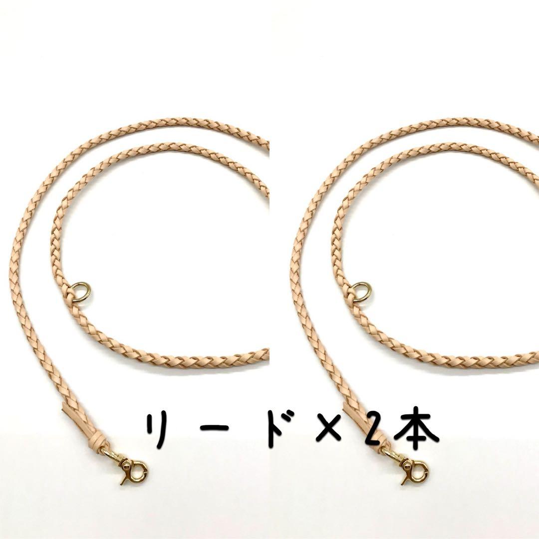 あや　真鍮タグ付き首輪×2 カフェリード×2 ナチュラルヌメ革